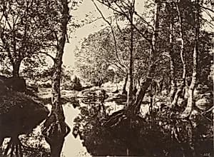 Belle-Croix