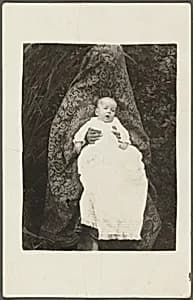 "Bess" by American 20th Century