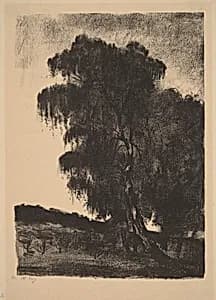 Birches by Lesser Ury