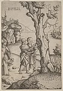 Birth of Adonis by Benedetto Montagna