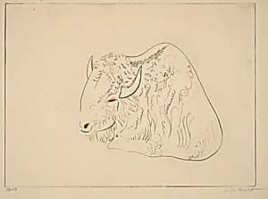 Bison II by Joseph Hecht
