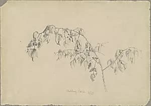 Blackberry by Andrew Fisher Bunner