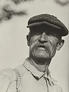 Bly by Alfred Stieglitz