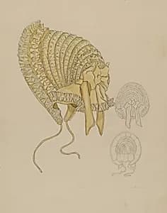 Bonnet by Gladys Cook