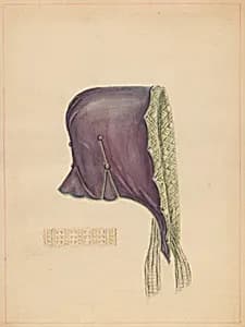 Bonnet