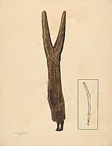 Bootjack by Gerald Bernhardt