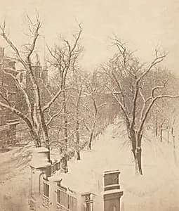 Boston Common Snow Scene by Josiah Johnson Hawes