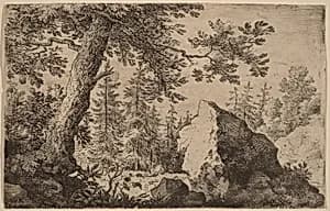 Boulder in the Woods by Allart van Everdingen