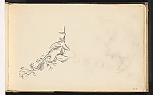 Branch in Flower by Paul Cezanne