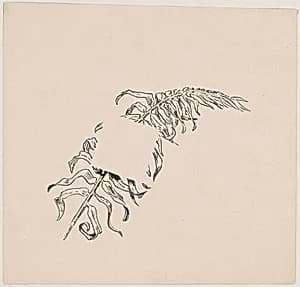 Branch