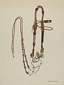 Bridle