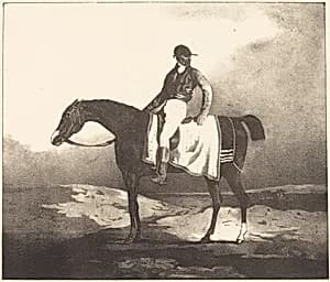 British Horse and Jockey