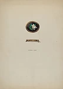 Brooch