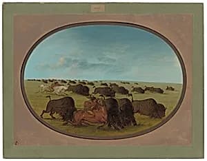 Buffalo Chase, with Accidents by George Catlin