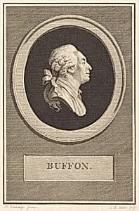 Buffon by Augustin de Saint-Aubin after Piat Joseph Sauvage