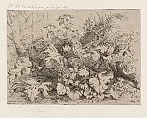 Burdock in Bloom by Eugène Bléry