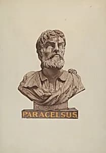 Bust of Paracelsus by Joseph Goldberg