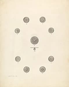 Buttons by Dorothy Dwin