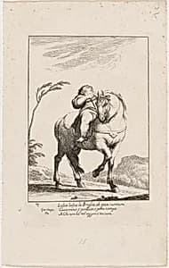 Cacasenno on Horseback