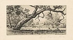 California Landscape