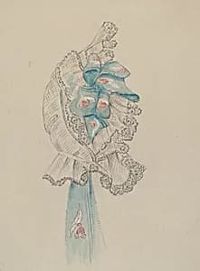 Cap by Jessie M. Benge