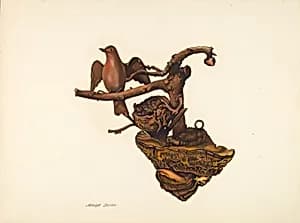 Carved Bird and Nest by Adolph Beilin