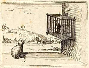 Cat Watching Caged Bird by Jacques Callot