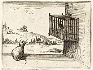Cat Watching Caged Bird by Jacques Callot