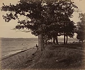 Cayuga Lake, Sheldrake by William H. Rau