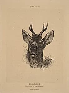 Chevreuil by Karl Bodmer