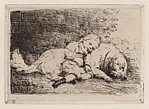 Child with a Dog