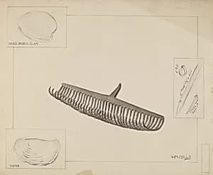 Clam Rake by William Mills