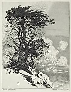Coast at Monterey, California by George Elbert Burr