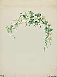 Costume Accessory (Orange Blossoms) by Ruth M. Barnes