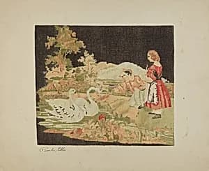 Cotton Cloth