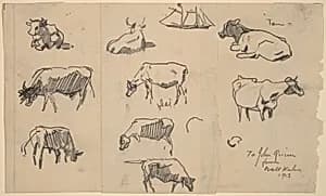 Cows [recto] by Walt Kuhn