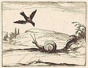 Crow and Snail by Jacques Callot