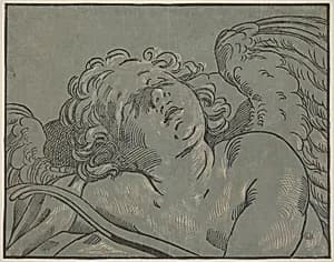 Cupid Asleep
