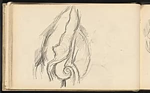 Cushion of an Armchair by Paul Cezanne