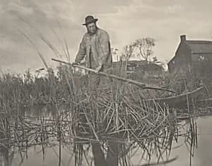 Cutting the Gladdon