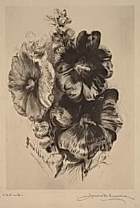 Dark Single Hollyhocks by James David Smillie