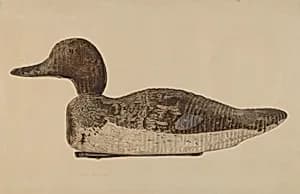Decoy: Blue Winged Teal by Albert Geuppert