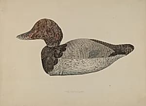Decoy Duck #1 by Lloyd Charles Lemcke