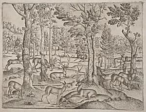 Deer in the Forest by Italian 16th Century