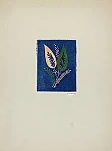 Detail of Skirt Design by Randolph F. Miller