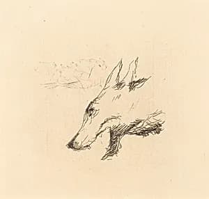 Dingo: Title Page by Pierre Bonnard
