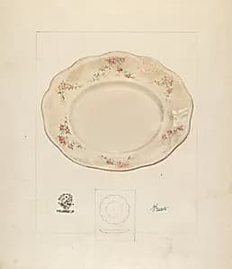 Dinner Plate by Joseph Sudek
