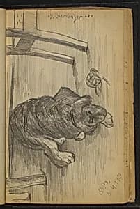 Dog Resting by Max Beckmann