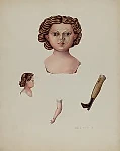 Doll (Composition)