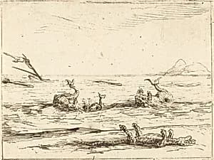 Dolphins and Crocodile by Jacques Callot